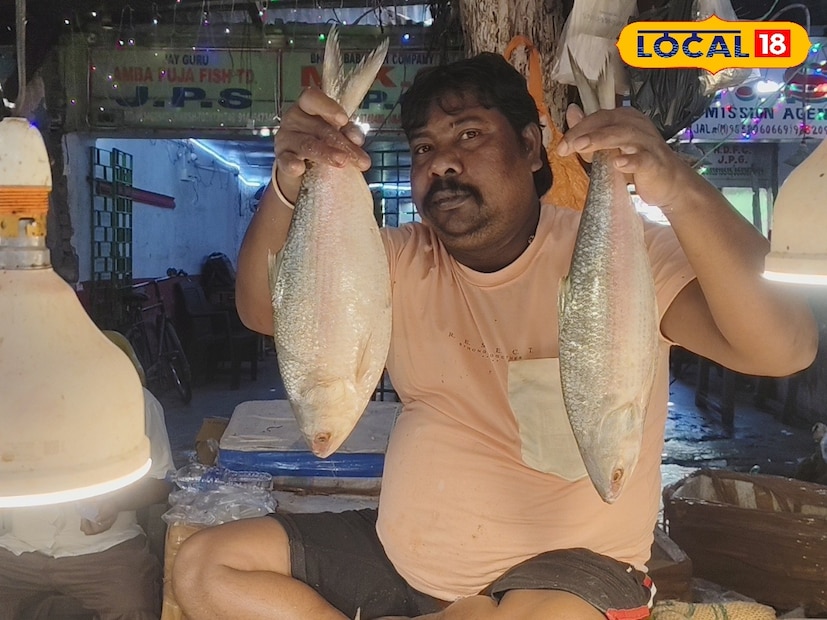 বাংলাদেশ থেকে ইলিশ আসা বন্ধ থাকলেও বাজারে দেখা মিলছে মায়ানমার থেকে আমদানি হওয়া বড় সাইজের ইলিশের। ওজন প্রায় এক কেজির বেশি, দাম ১৫০০–১৮০০ প্রতি কেজি। পাশাপাশি, ডায়মন্ড হারবারের ইলিশও রয়েছে ৪৫০ থেকে ৮০০ টাকার মধ্যে।