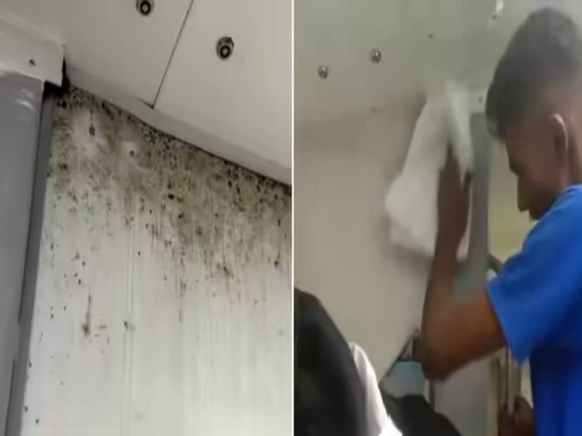 মুহূর্তের মধ্যে দাবানলের মতো ছড়িয়ে পরে ভিডিওটি। তবে ভাইরাল ভিডিও দেখে রেল অবশ্য সঙ্গে সঙ্গে প্রতিক্রিয়া জানিয়েছে। বিষয়টি আমলে নিয়ে ছত্রাক পরিষ্কার করার জন্য রেলের হাউজ কিপিং স্টাফরা পৌঁছন। দ্রুত ছাঁচ পরিষ্কার করার কাজ শুরু হয়। তারও একটি ভিডিও পোস্ট করে রেল।