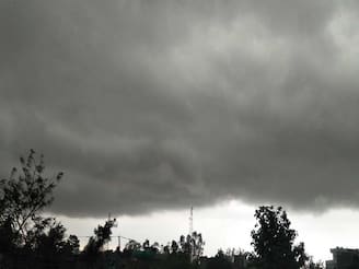 এই মুহূর্তে আবহাওয়ার বড় আপডেট, কোন কোন জেলায় বৃষ্টির পূর্বাভাস?