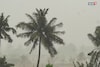 দুর্যোগের মধ্যেই শঙ্কার বার্তা হাওয়া অফিসের, উত্তরবঙ্গে ভারী থেকে অতিভারী বৃষ্টি!