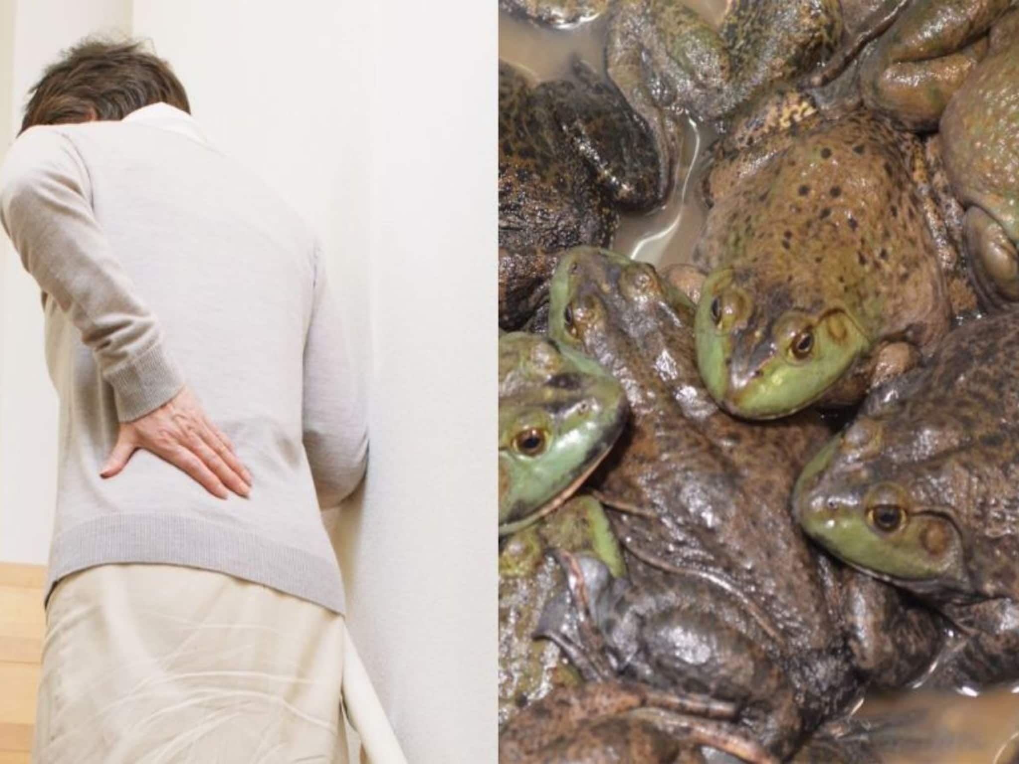 Viral News: ৮টা জ্যান্ত ব্যাঙ...সোজা খেয়ে ফেললেন! ৮২ বছরের মহিলার ভয়ঙ্কর কাণ্ড, কেন এই ঘটনা ঘটালেন? কারণ আজব