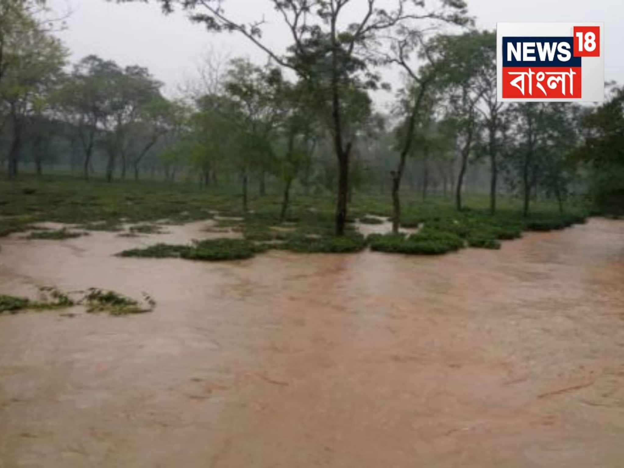 North Bengal Flood Situation: টাকা ভেসে গেছে জলে, বইপত্র..সব নষ্ট! ত্রাণের খাবার খেয়ে আর কতদিন? দিন গুনছে চা-বাগান