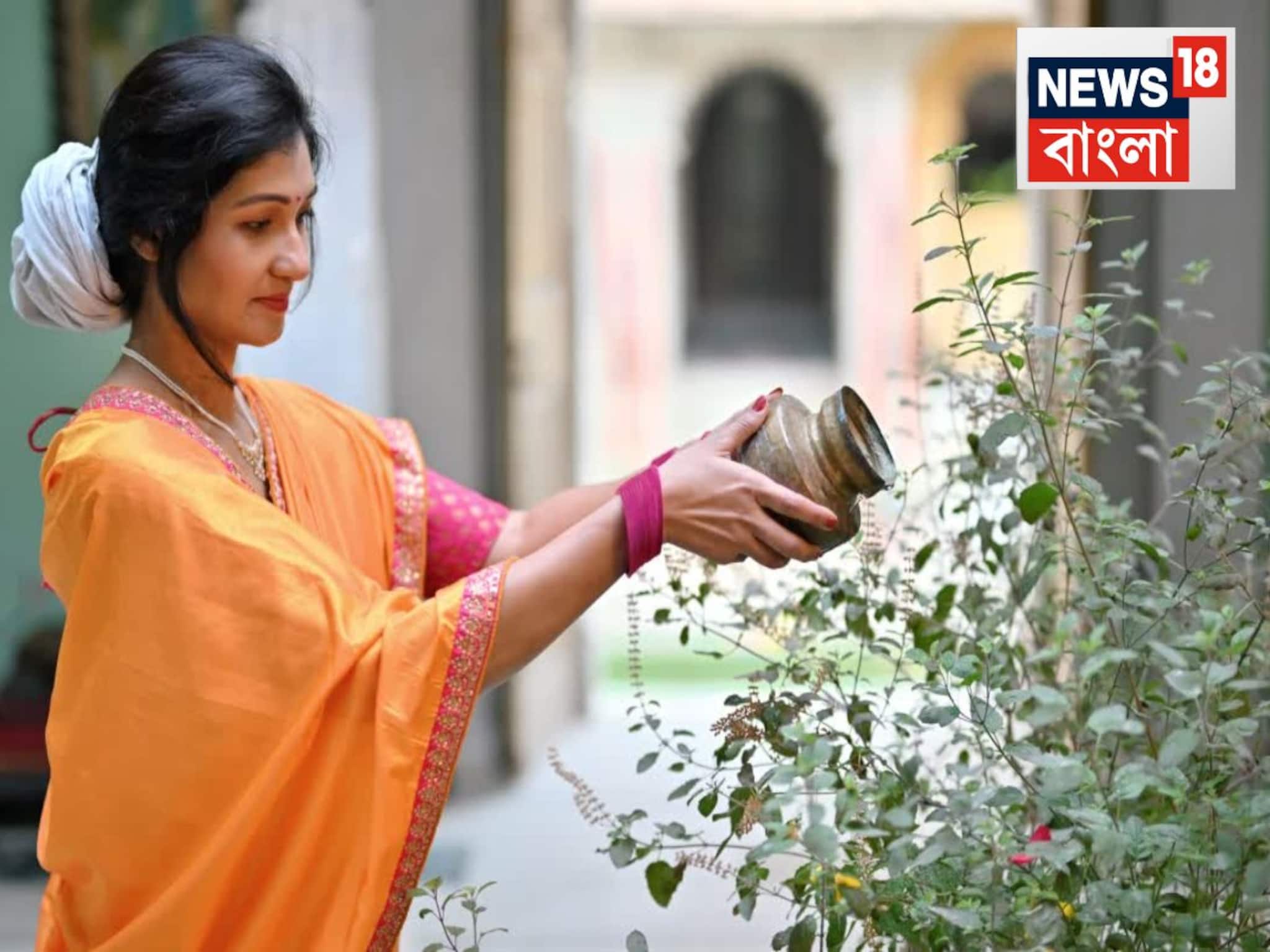 Tulsi Plant Care: শীতকালেও শুকবে না তুলসী, গোড়ার কাছে করতে হবে সামান্য কাজ! কচি পাতায় ভরে থাকবে গোটা সময়