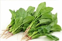 Winter Spinach: শীষ পালং রক্তাল্পতা থেকে ব্যথা কমানোর 'এক্সপার্ট', শীতের বাজারেই মেলে 'মামুলি' এই শাক, অবশ্যই খান