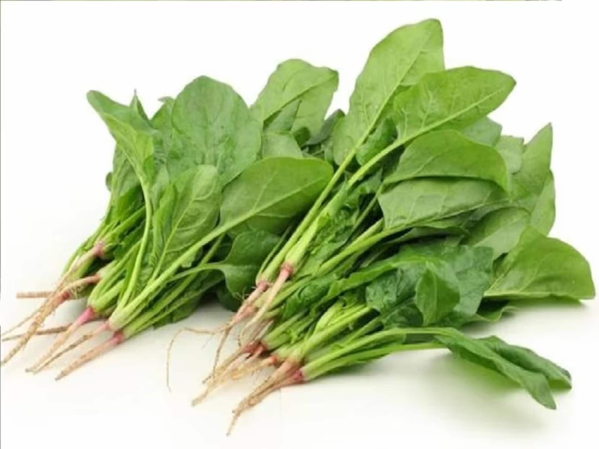 Winter Spinach: শীষ পালং রক্তাল্পতা থেকে ব্যথা কমানোর 'এক্সপার্ট', শীতের বাজারেই মেলে 'মামুলি' এই শাক, অবশ্যই খান