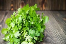 How To Keep Coriander Fresh For Long Time: ফ্রিজে রাখার পরেও পচে, শুকিয়ে যাচ্ছে ধনেপাতা! ছোট্ট কৌশলে দীর্ঘদিন থাকবে 'ফ্রেশ', রান্নায় ছড়াবে সুবাস