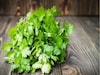 ফ্রিজে রাখার পরেও পচে, শুকিয়ে যাচ্ছে ধনেপাতা! ছোট্ট কৌশলে দীর্ঘদিন থাকবে একেবারে 'ফ্রেশ'
