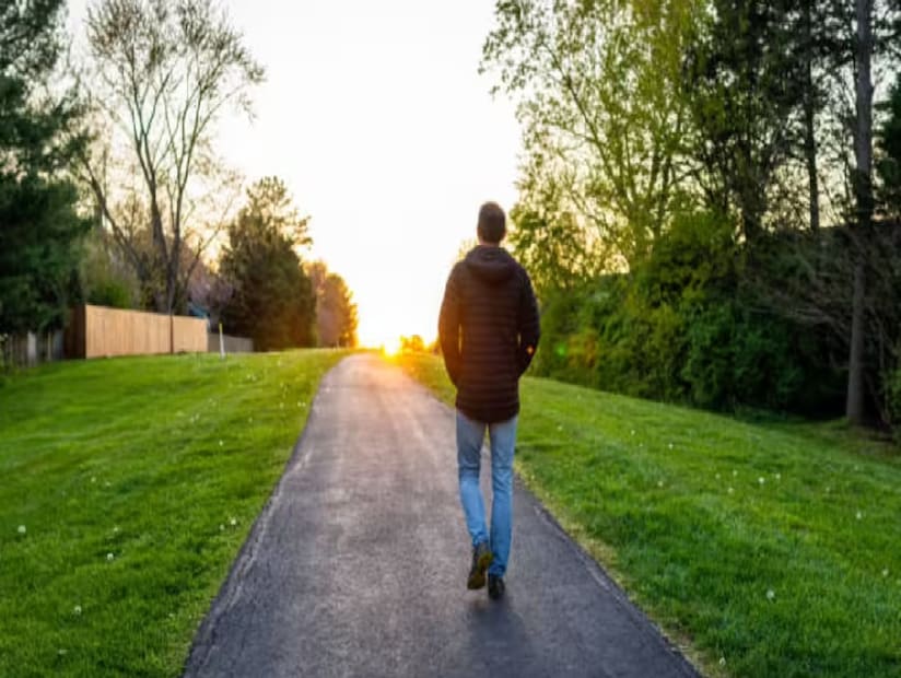 হাঁটলে এন্ডরফিন ও সেরোটোনিন হরমোনের ক্ষরণ হয় যা মনকে খুশি রাখে, অনিদ্রার সমস্যা দূর করে। এতে স্মৃতিশক্তিও উন্নত হয়। 'জামা নিউরোলজি' জার্নালে এই গবেষণার খবর প্রকাশিত হয়েছে। (Disclaimer: এই প্রতিবেদনটি কেবলমাত্র সাধারণ তথ্যের জন্য, তাই বিস্তারিত জানতে হলে সর্বদা বিশেষজ্ঞের পরামর্শ নিন।)