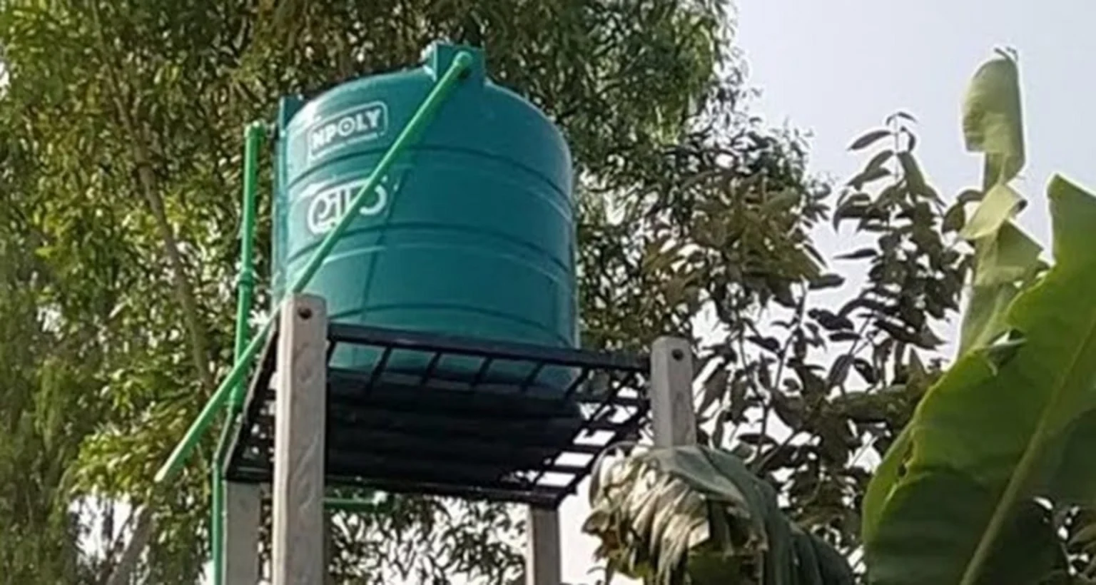 যেকোনও ওষুধের দোকান থেকে ব্লিচিং পাউডার এবং হাইড্রোজেন পারঅক্সাইড কিনুন। ৩-৪ বালতি জলে একটি ছোট বোতল হাইড্রোজেন পারঅক্সাইড এবং ৫০-৮০ গ্রাম ব্লিচিং পাউডার মিশিয়ে নিন।