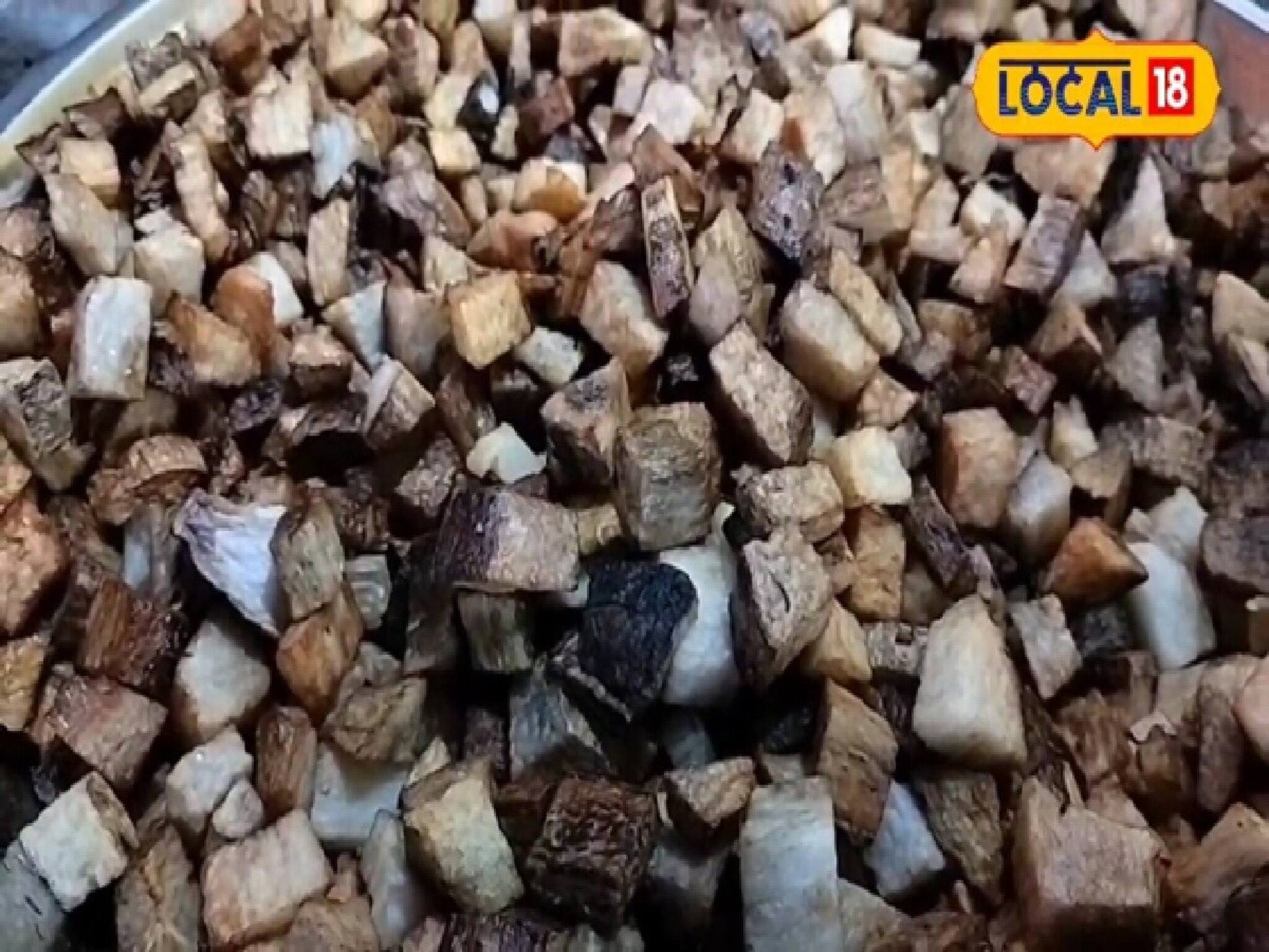 Winter Super Food: শীতে মাত্র ৩ মাস মেলে ওল জাতীয় সবজিটি, ক্যালসিয়াম-ম্যাঙ্গানিজের খনি, পাতে থাকলে লৌহকঠিন হাড়