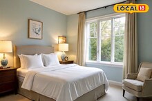 বাড়ির দক্ষিণ দিকে রাখুন  জেড প্ল্যান্ট, চুম্বকের মতো টাকা আসবে ঘরে, উপচে পড়বে কুবেরের ধন