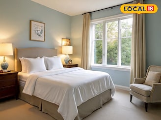 বাড়ির দক্ষিণ দিকে রাখুন  জেড প্ল্যান্ট, চুম্বকের মতো টাকা আসবে ঘরে, উপচে পড়বে কুবেরের ধন