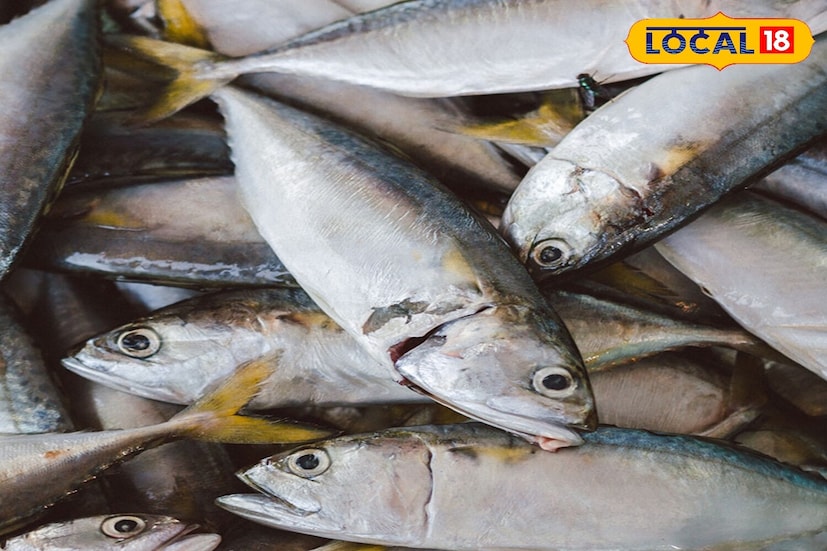 মুগ্ধা প্রধান বলেন, 