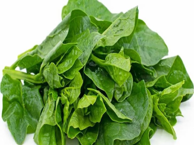 অ্যান্টিঅক্সিডেন্ট বৈশিষ্ট্যে সমৃদ্ধ লাউ পাতা খাওয়ার মাধ্যমে রোগ প্রতিরোধ ক্ষমতা বাড়ানো যায়। এই পাতা থেকে তৈরি সবুজ শাক খেলে শরীর রোগের বিরুদ্ধে লড়াই করতে সাহায্য করে।