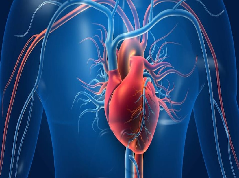 চিকিৎসকদের পরামর্শ নিয়ে মায়োপিয়া, হাইপারোপিয়া এবং প্রেসবায়োপিয়া পরীক্ষা করানো উচিত। এই তিনটি পরীক্ষার মাধ্যমেই আপনার দৃষ্টিশক্তির মান কেমন তা যাচাই করা হবে। চোখও বলে দেয় হার্টের সমস্যা রয়েছে কিনা। 