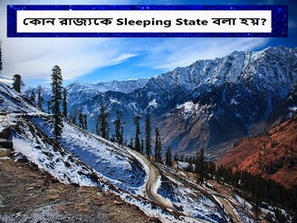 ভারতের কোন রাজ্যে সবচেয়ে তাড়াতাড়ি ঘুমোয় লোক? স্লিপিং স্টেটের খেতাব জিতেছে সুন্দর রাজ্য
