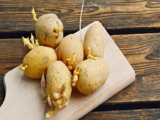 আলুতে অঙ্কুর গজিয়েছে, সবুজ দাগ, এই আলু কিন্তু ভুলেও খাবেন না, কারণ জানালেন চিকিৎসক