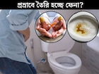প্রস্রাবে তৈরি হচ্ছে ফেনা! শরীরে বাসা বাঁধছে কোন মারাত্মক রোগ? লক্ষণ দেখলেই সতর্ক হন