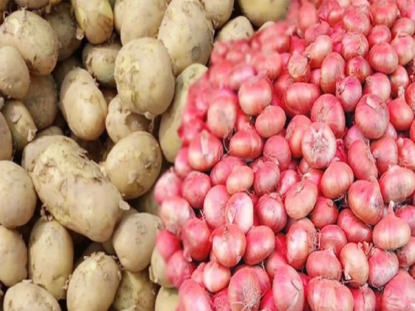 আলুর সঙ্গে পেঁয়াজ রাখাও এড়িয়ে চলুন, কারণ পেঁয়াজ থেকে নির্গত গ্যাসও আলুতে অঙ্কুর গজানোর প্রক্রিয়া দ্রুত করে।