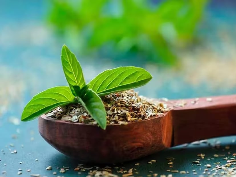 তুলসি ও লবঙ্গ-- তুলসিতে রয়েছে অ্যান্টিব্যাকটেরিয়াল ও অ্যান্টিফাংগাল বেশিষ্ট্য, লবঙ্গতে রয়েছে অ্যান্টিভাইরাল বৈশিষ্ট্য। তুলসি ও লবঙ্গ একসঙ্গে ফুটিয়ে দিনে ২-৩ বার খেলে গলার ব্যথা, কাশি ও সংক্রমণ থেকে মুক্তি পাবেন। এই মিশ্রণ শরীরের রোগ প্রতিরোধ ক্ষমতাও বাড়ায়। 