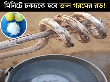 জল গরম করার রডে জমেছে পুরু সাদা স্তর! লেবু, নুনের সঙ্গে...৪ উপায়ে কয়েক মিনিটে চকচকে হবে