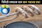 জল গরম করার রডে জমেছে পুরু সাদা স্তর! লেবু, নুনের সঙ্গে...৪ উপায়ে কয়েক মিনিটে চকচকে হবে