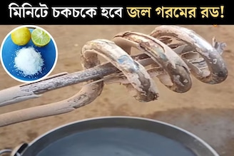 জল গরম করার রডে জমেছে পুরু সাদা স্তর! লেবু, নুনের সঙ্গে...৪ উপায়ে কয়েক মিনিটে চকচকে হবে
