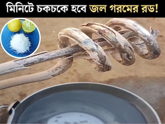 জল গরম করার রডে জমেছে পুরু সাদা স্তর! লেবু, নুনের সঙ্গে...৪ উপায়ে কয়েক মিনিটে চকচকে হবে