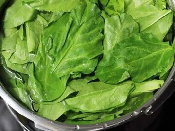 ভিটামিন-ফাইবারে ভরা পালং, কিন্তু থাইরয়েড, ইউরিক অ্যাসিডের মতো আর যে যে সমস্যায় পালং শাক নয় ভিটামিন-ফাইবারে ভরা পালং, কিন্তু থাইরয়েড, ইউরিক অ্যাসিডের মতো আর যে যে সমস্যায় পালং শাক নয়