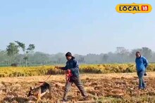 ৫ দিন ধরে নিখোঁজ ৫ বছরের শিশু! তল্লাশিতে মাঠে নামল পুলিশ কুকুর
