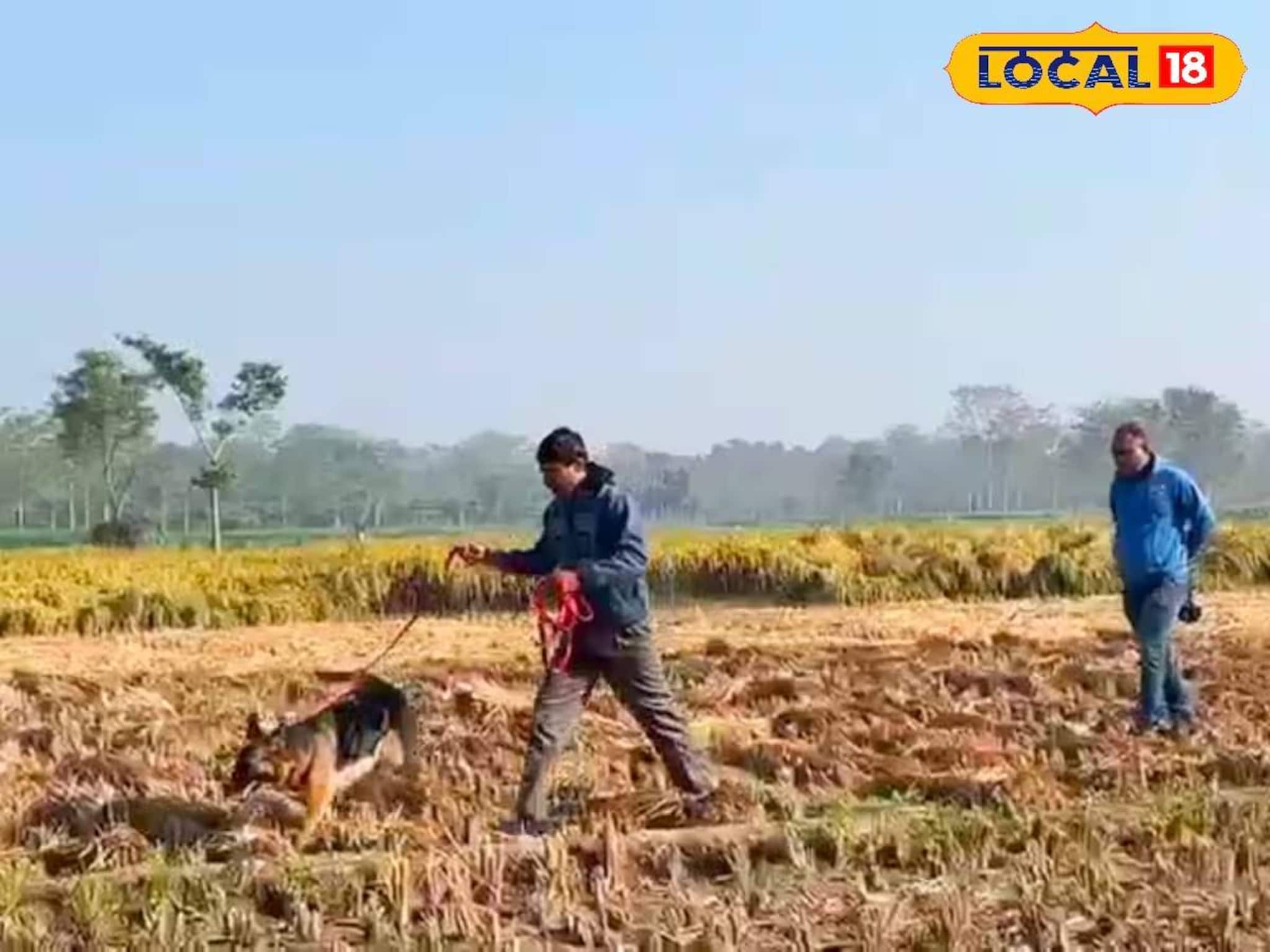 Child Missing: ৫ দিন ধরে নিখোঁজ ৫ বছরের শিশু! বাড়ি ফেরার পথে রহস্যজনকভাবে গায়েব, তল্লাশিতে মাঠে নামল পুলিশ কুকুর