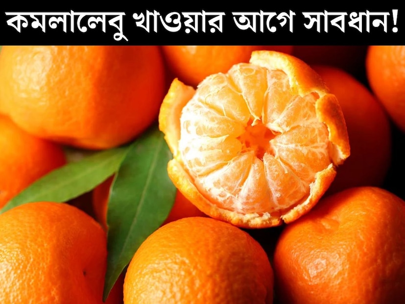 শীতকাল এসে গিয়েছে। শীতের মরশুমে হাল্কা রোদ পোহাতে পোহাতে খোসা ছাড়াতে ছাড়াতে কমলালেবুতে কামড়। এই আমেজ দোষে দুষ্ট নয় এমন বাঙালি খুঁজে পাওয়া ভার। বর্তমানে সারাবছরই পাওয়া যায় কমলালেবু। তবু শীতের এই ফলের স্বাদ আরও বেড়ে যায়। কমলালেবু তাই বাঙালির কাছে শীতবরণের ফল। শীতকাল এসে গিয়েছে। শীতের মরশুমে হাল্কা রোদ পোহাতে পোহাতে খোসা ছাড়াতে ছাড়াতে কমলালেবুতে কামড়। এই আমেজ দোষে দুষ্ট নয় এমন বাঙালি খুঁজে পাওয়া ভার। বর্তমানে সারাবছরই পাওয়া যায় কমলালেবু। তবু শীতের এই ফলের স্বাদ আরও বেড়ে যায়। কমলালেবু তাই বাঙালির কাছে শীতবরণের ফল।
