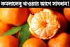 শীতের সেরা ফল কমলালেবু খাওয়ার আগে সাবধান! ভুল সময়ে খেলেই শরীরের সর্বনাশ