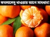 শীতের সেরা ফল কমলালেবু খাওয়ার আগে সাবধান! ভুল সময়ে খেলেই শরীরের সর্বনাশ