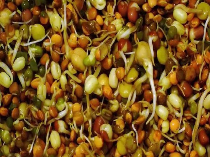 এ ছাড়াও রক্তাল্পতা দূর করে, রক্তে থাকা খারাপ কোলেস্টেরল কমায়, রক্তচাপও নিয়ন্ত্রণ করে। শুধু তা-ই নয়, দীর্ঘ দিন ধরে অঙ্কুরিত দানাশস্য খেলে শরীরে রোগ প্রতিরোধ ক্ষমতাও বৃদ্ধি পায়। ওজন কমানোর ডায়েটেও এই খাবার রাখা যেতে পারে।