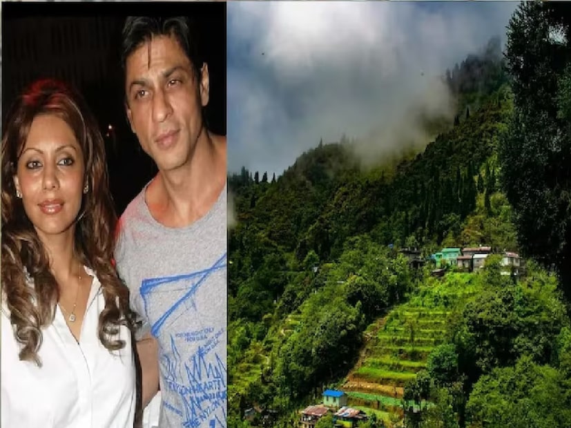 বিয়ের ২০-৩০ দিনের মধ্যে হানিমুনে গিয়েছিলেন শাহরুখ খান ও গৌরী। কোথায় গিয়েছিলেন তাঁরা জানেন? এসেছিলেন পশ্চিমবঙ্গে। হ্য়াঁ, ঠিকই পড়ছেন, শাহরুখ-গৌরী তাঁদের হানিমুনে এসেছিলেন বাংলায়।