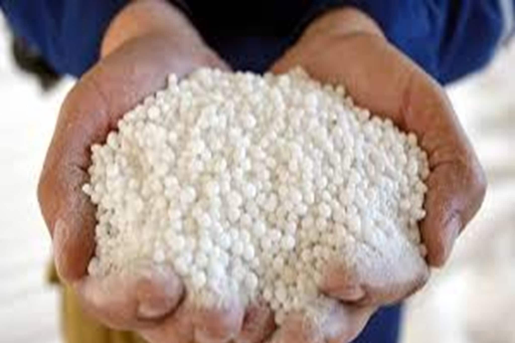 ফরিদাবাদে ৩৫০ কেজি অ্যামোনিয়াম নাইট্রেট উদ্ধার! এই রাসায়নিকটি কী এবং তা কেন বিপজ্জনক!