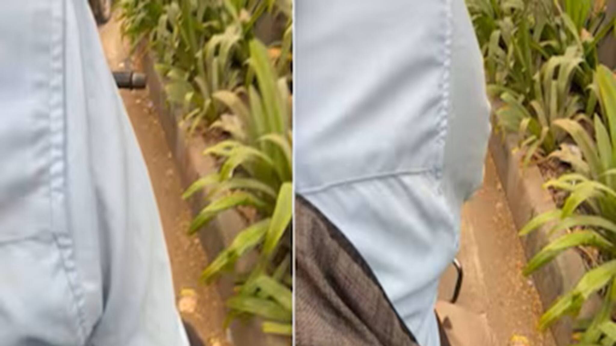 বেঙ্গালুরুতে অ্যাপ ক্যাব বাইক চালকের অসভ্যতার শিকার তরুণী! 'চোখে জল চলে এসেছিল',  জানালেন আতঙ্কিত যুবতী