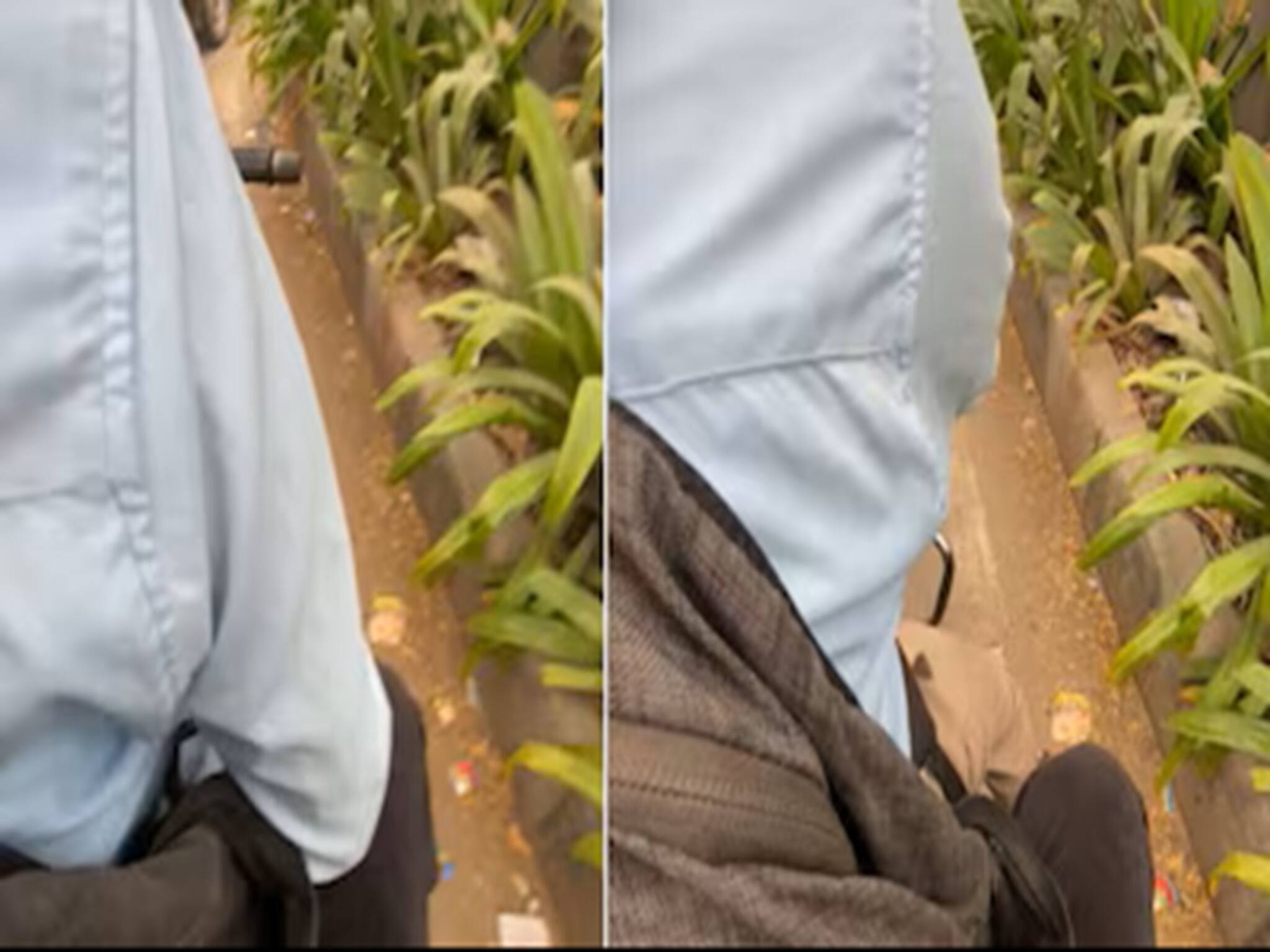 বেঙ্গালুরুতে অ্যাপ ক্যাব বাইক চালকের অসভ্যতার শিকার তরুণী! 'চোখে জল চলে এসেছিল',  জানালেন আতঙ্কিত যুবতী