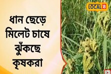 ধান ছেড়ে কেন এই চাষ বেছে নিচ্ছে কৃষকরা? জানুন আসল কারণ