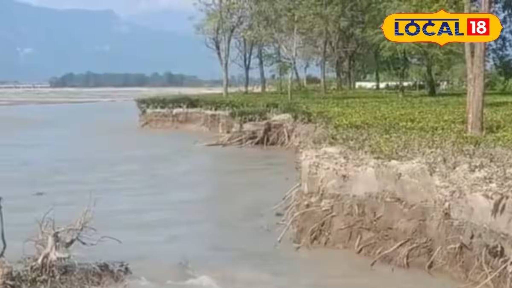 সুভাষিনী চা বাগানের হেক্টরের পর হেক্টর জমি গিলে খাচ্ছে তোর্ষা! দেখুন ভিডিও