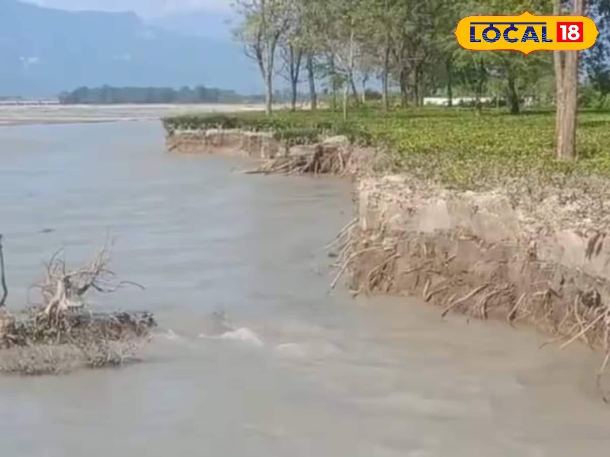 Alipurduar News: বন্যার পর ঘুরে গিয়েছে মুখ! সুভাষিনী চা বাগানের হেক্টরের পর হেক্টর জমি গিলে খাচ্ছে তোর্ষা, ভয়াবহ পরিস্থিতি দেখুন
