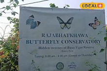 Alipurduar News: শীতের মরশুমে ডুয়ার্স বেড়াতে গেলে অবশ্যই ঘুরে আসুন প্রজাপতি পার্ক! জঙ্গলে ঘেরা মনোমুগ্ধকর সৌন্দর্য, প্রজাপতি ও পাখিদের স্বর্গরাজ্য