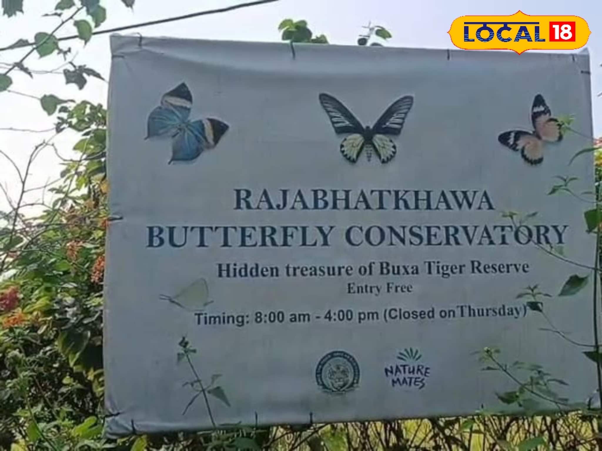 Alipurduar News: শীতের মরশুমে ডুয়ার্স বেড়াতে গেলে অবশ্যই ঘুরে আসুন প্রজাপতি পার্ক! জঙ্গলে ঘেরা মনোমুগ্ধকর সৌন্দর্য, প্রজাপতি ও পাখিদের স্বর্গরাজ্য