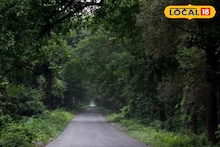 Alipurduar News: চিলাপাতার জঙ্গলে বেপরোয়া গাড়ি চালানোর ভয়াবহ পরিণাম! সেতু থেকে গাড়ি পড়ে মৃত ২, আশঙ্কাজনক আরও ২ জন