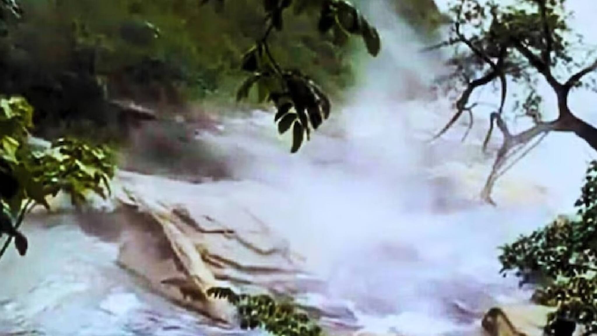 Amazon Jungle : পৃথিবীর সব থেকে রহস্যময় নদী! ৯৫°C তাপমাত্রায় ফোটে জল! কোনও প্রাণী পড়ে গেলে আর প্রাণ নিয়ে ফেরে না