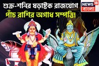 শুক্র-শনির ষড়াষ্টক রাজযোগ! পাঁচ রাশির বড়দিন, বিরাট সম্পত্তিতে জীবন আরও সুন্দর