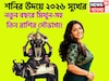 ২০২৬-এ শনির উদয়, ৩০ বছর পরে মিথুন-সহ ৩ রাশির মহাকামাল, ধনবর্ষায় মুখরিত জীবন