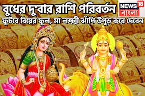 বুধের দু'বার রাশি পরিবর্তন! ফুটবে বিয়ের ফুল, মা লক্ষ্মী ঝাঁপি উপুড় করে দেবেন