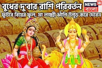 বুধের দু'বার রাশি পরিবর্তন! ফুটবে বিয়ের ফুল, মা লক্ষ্মী ঝাঁপি উপুড় করে দেবেন